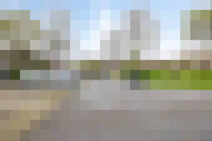 Heggewinde 71 Leeuwarden thumbnail 38