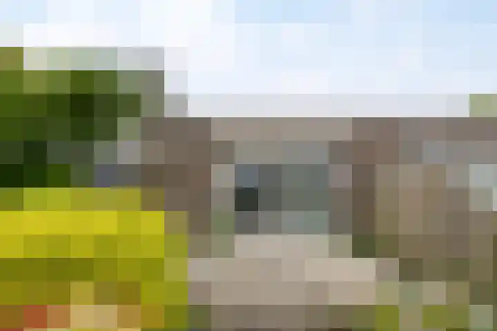 Heggewinde 71 Leeuwarden thumbnail 4