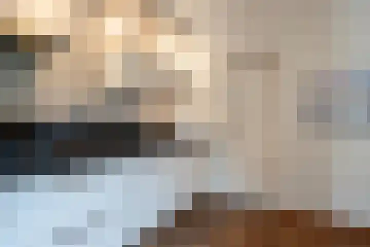Hegmulder 11 Bergeijk thumbnail 11