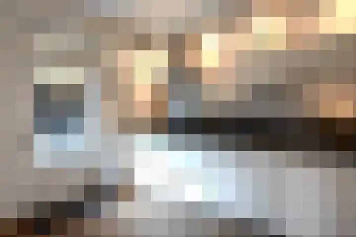 Hegmulder 11 Bergeijk thumbnail 12