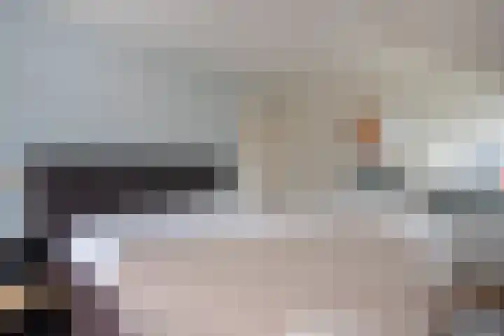 Hegmulder 11 Bergeijk thumbnail 14