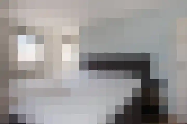 Hegmulder 11 Bergeijk thumbnail 15