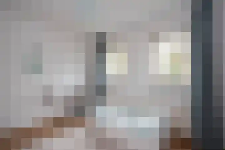 Hegmulder 11 Bergeijk thumbnail 19