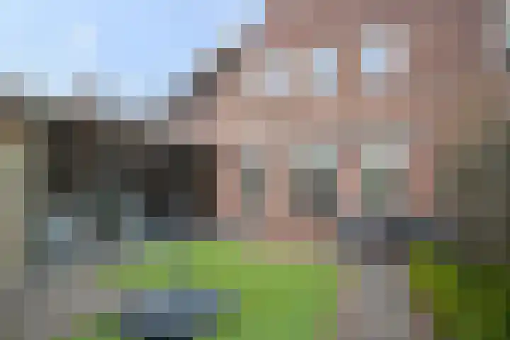 Hegmulder 11 Bergeijk thumbnail 25