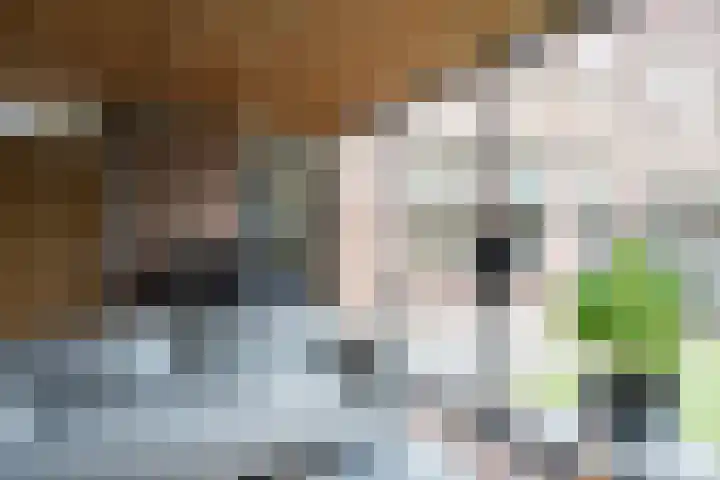 Hegmulder 11 Bergeijk thumbnail 27