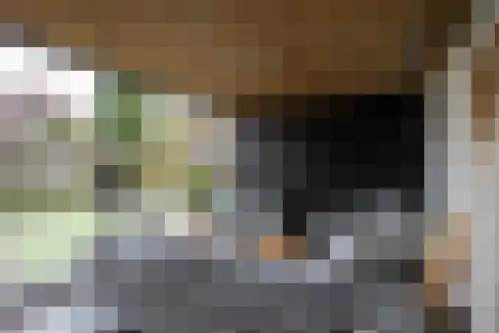 Hegmulder 11 Bergeijk thumbnail 28