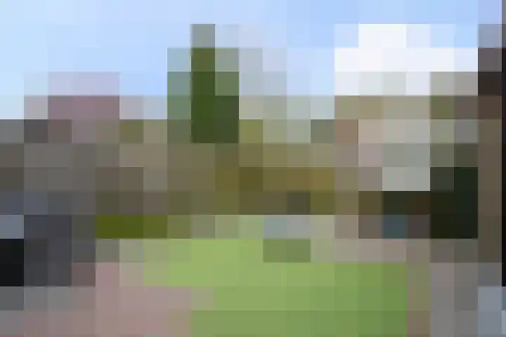 Hegmulder 11 Bergeijk thumbnail 29