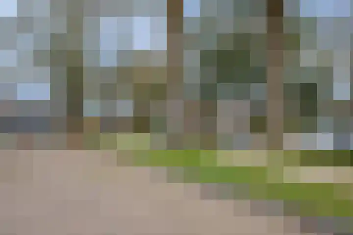 Hegmulder 11 Bergeijk thumbnail 30
