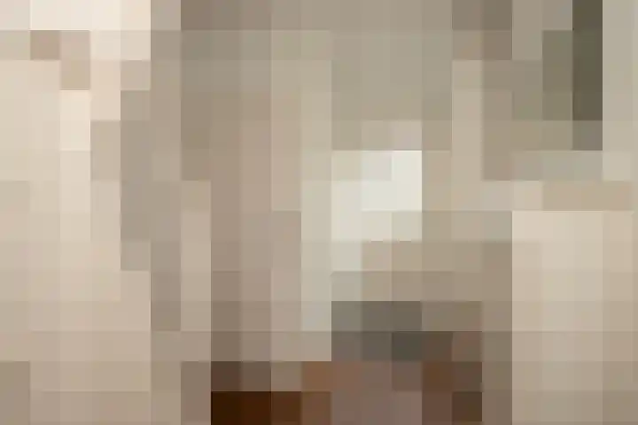 Hegmulder 11 Bergeijk thumbnail 4