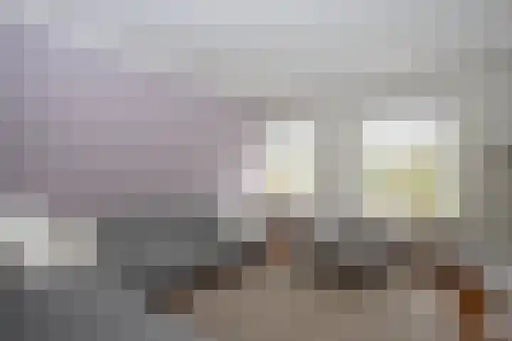 Hegmulder 11 Bergeijk thumbnail 7