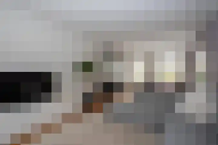 Hegmulder 11 Bergeijk thumbnail 9