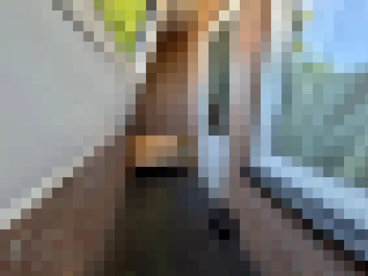 Hegstraat 12 Weert thumbnail 6