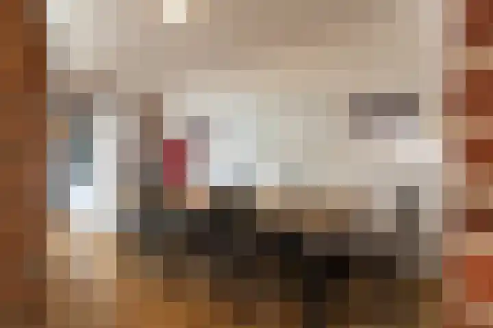 Hegstraat 24 Geleen thumbnail 18