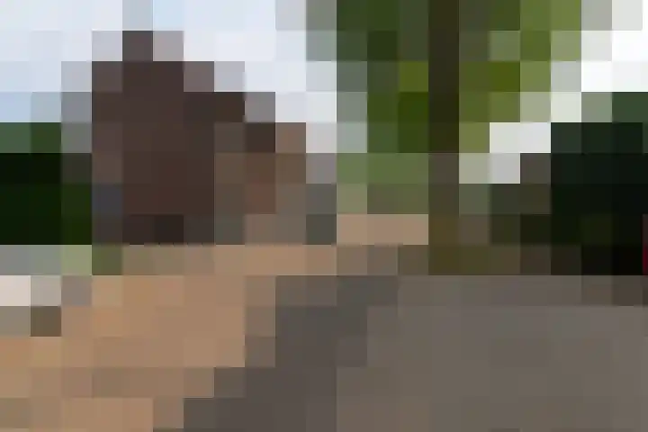 Hegstraat 24 Geleen thumbnail 4