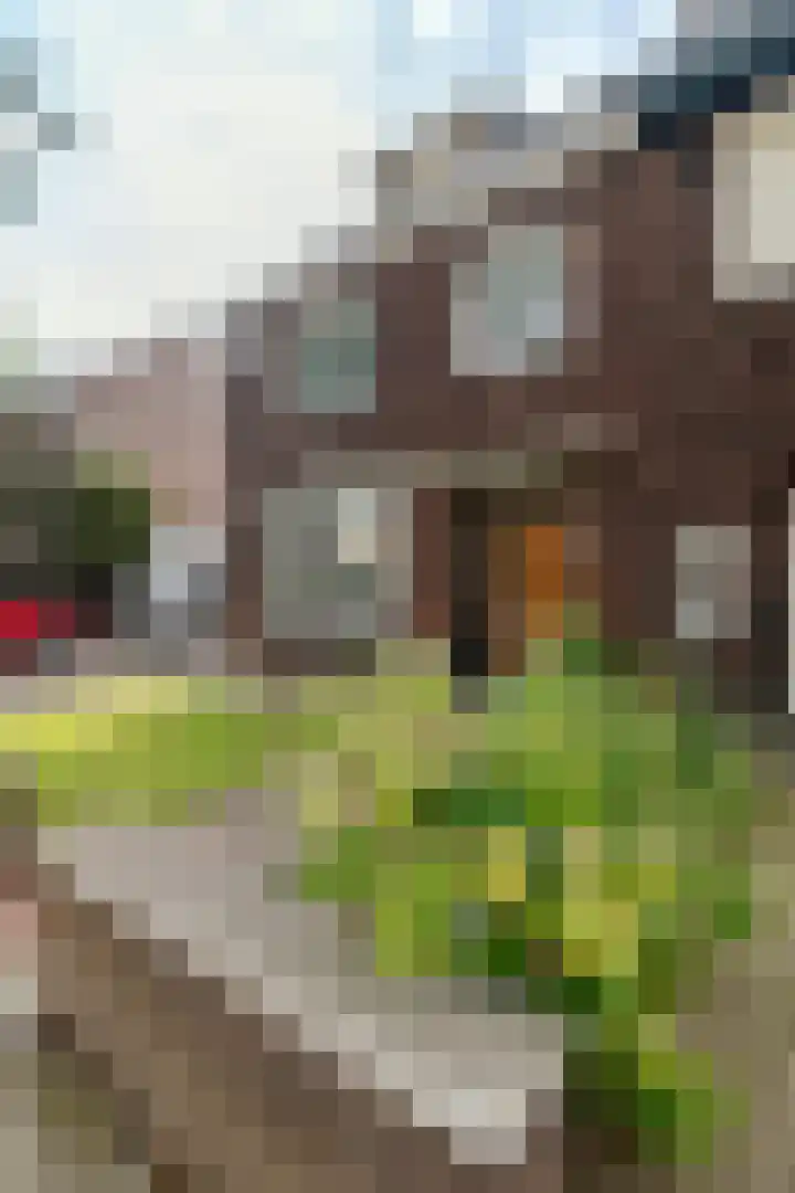 Hegstraat 24 Geleen thumbnail 6