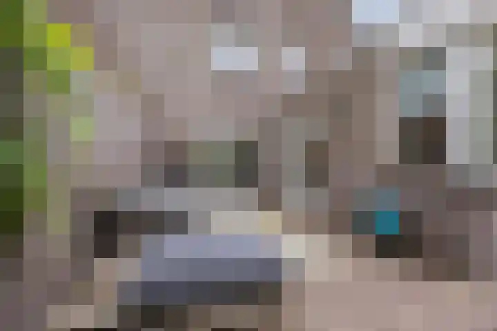 Hegveld 16 Velp thumbnail 31