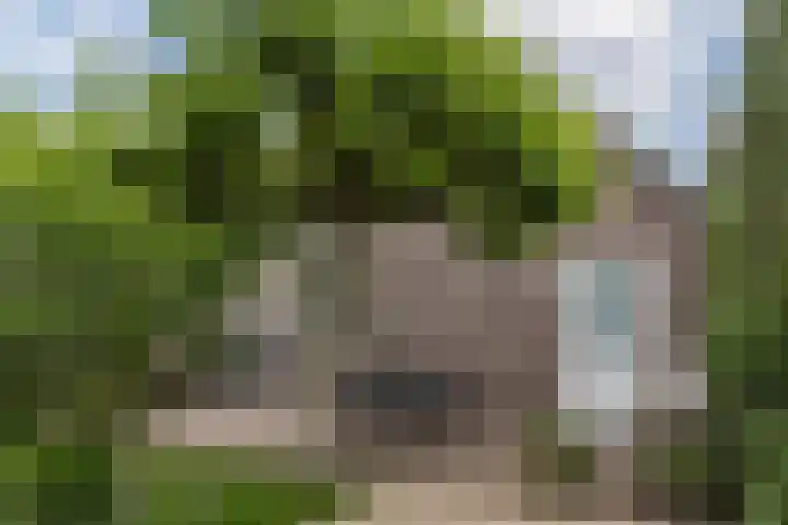 Hegveld 16 Velp thumbnail 35
