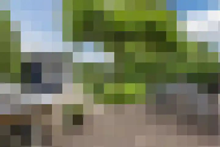 Hegveld 16 Velp thumbnail 36