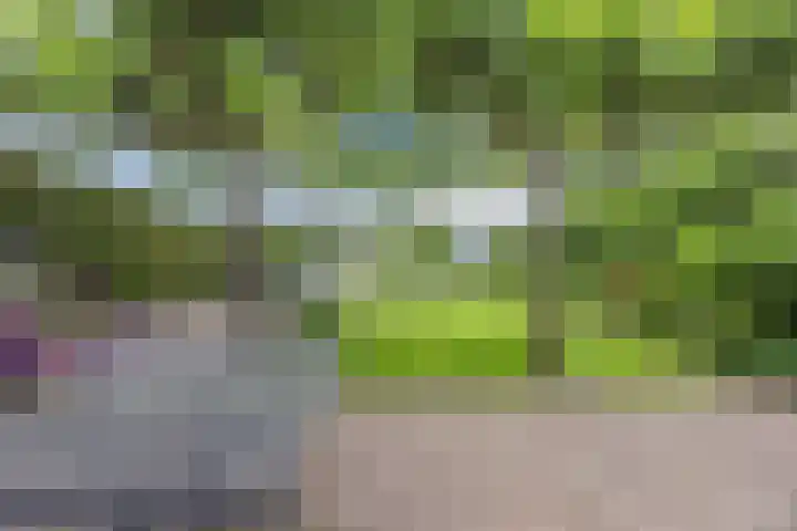 Hegveld 16 Velp thumbnail 37