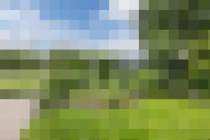 Hegveld 16 Velp thumbnail 39