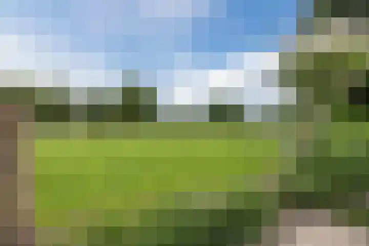 Hegveld 16 Velp thumbnail 40
