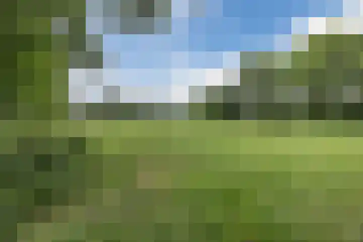 Hegveld 16 Velp thumbnail 42