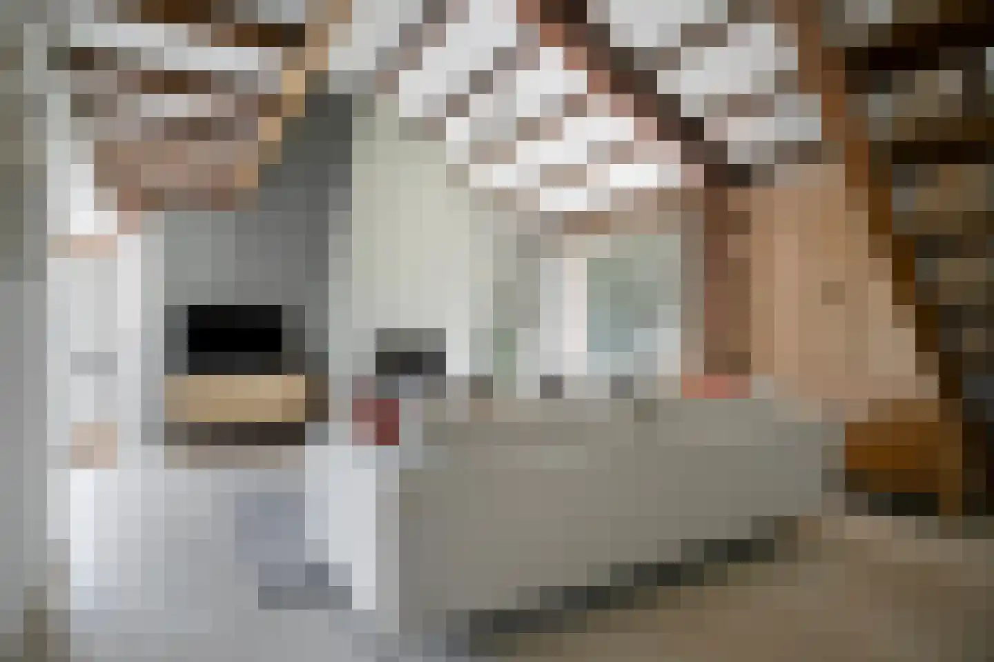 Hei 17 Baarlo thumbnail 10