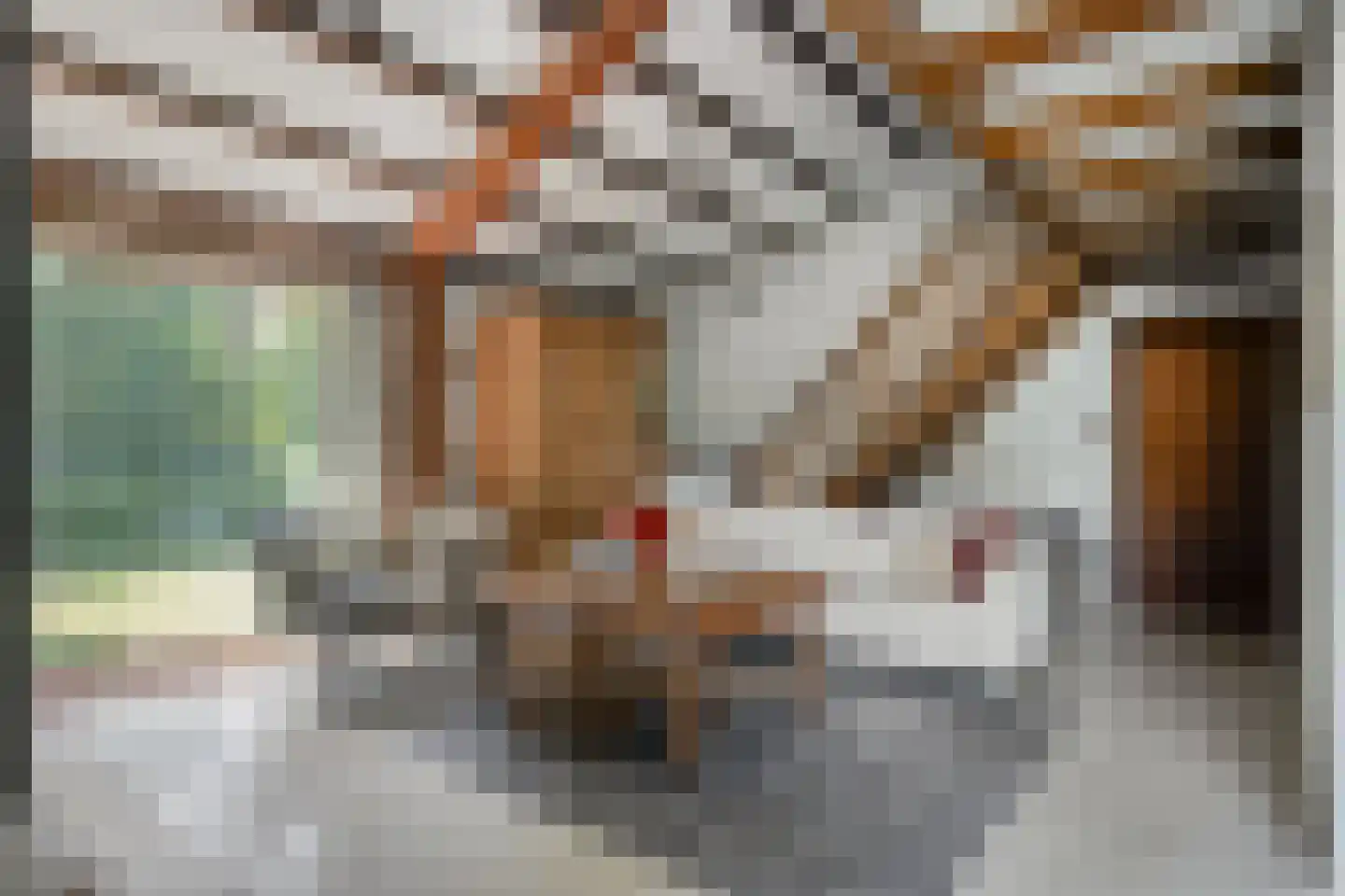 Hei 17 Baarlo thumbnail 15