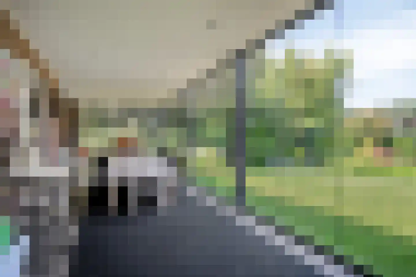 Hei 17 Baarlo thumbnail 20