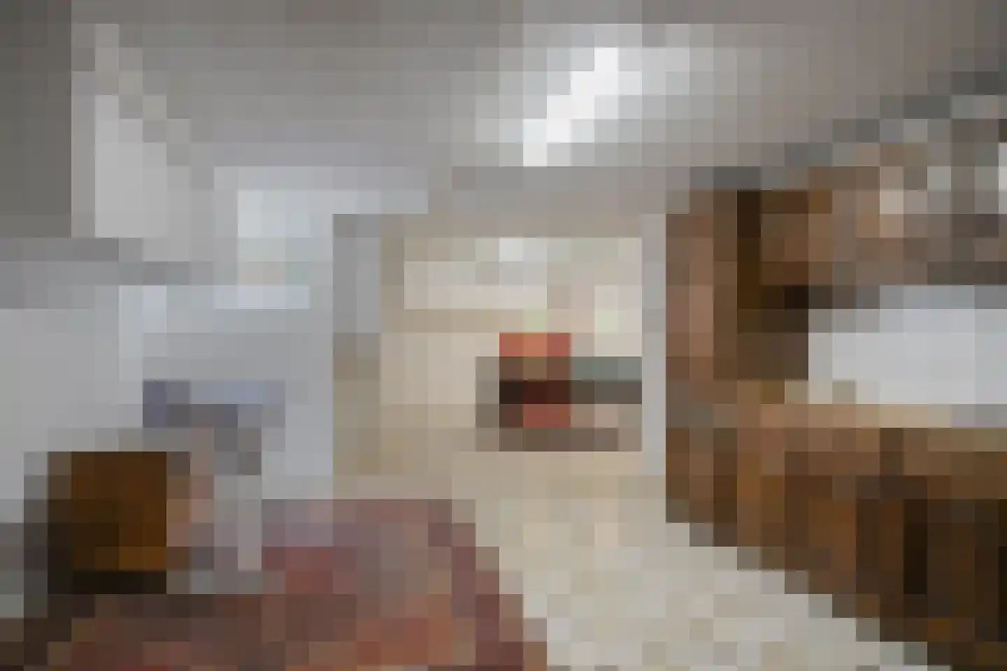 Hei 17 Baarlo thumbnail 38