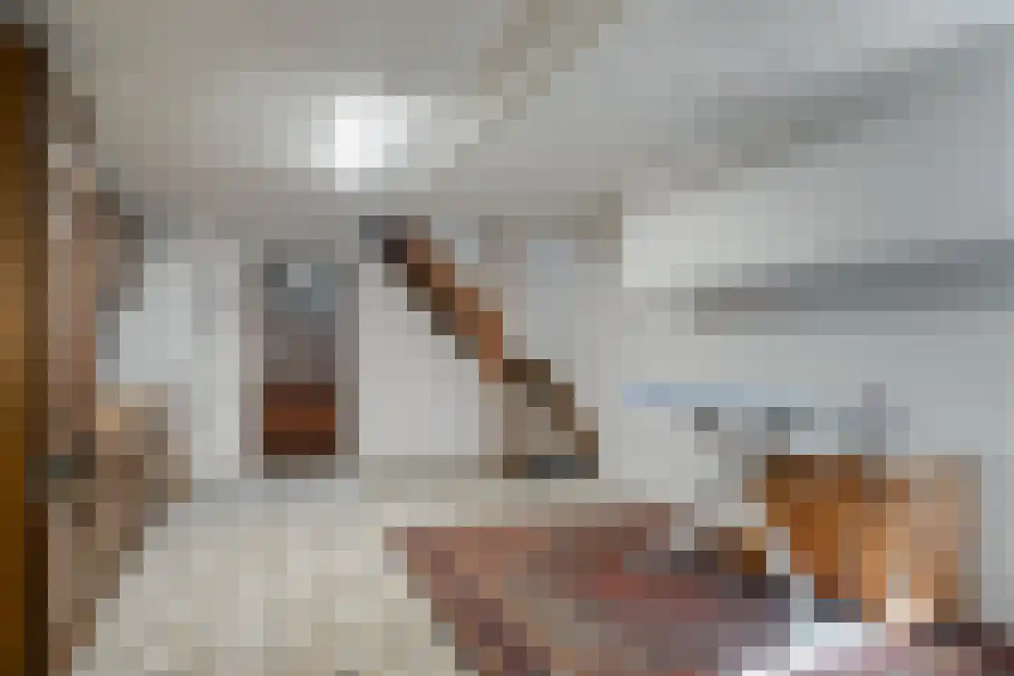 Hei 17 Baarlo thumbnail 41