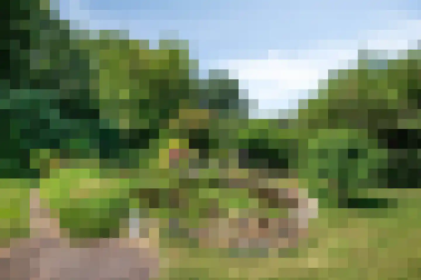Hei 17 Baarlo thumbnail 51