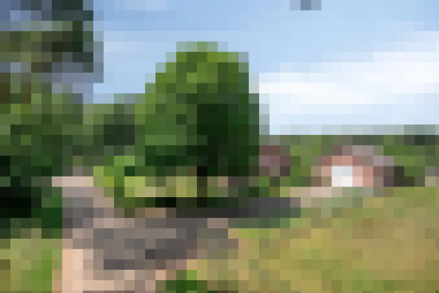 Hei 17 Baarlo thumbnail 54
