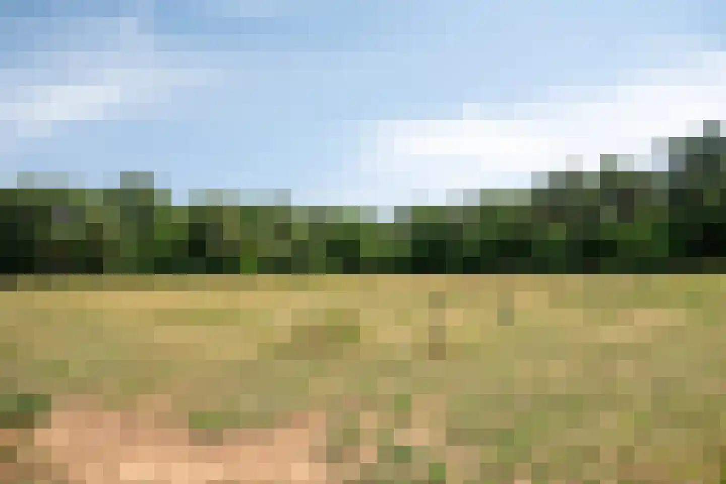 Hei 17 Baarlo thumbnail 55