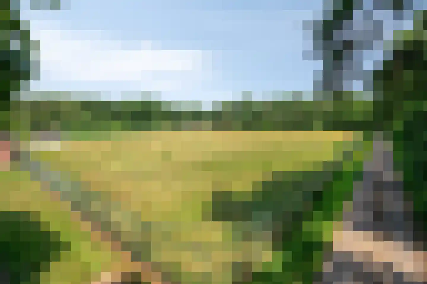 Hei 17 Baarlo thumbnail 56