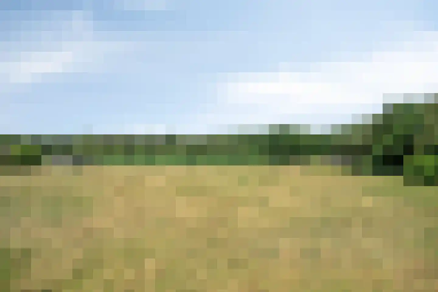 Hei 17 Baarlo thumbnail 58