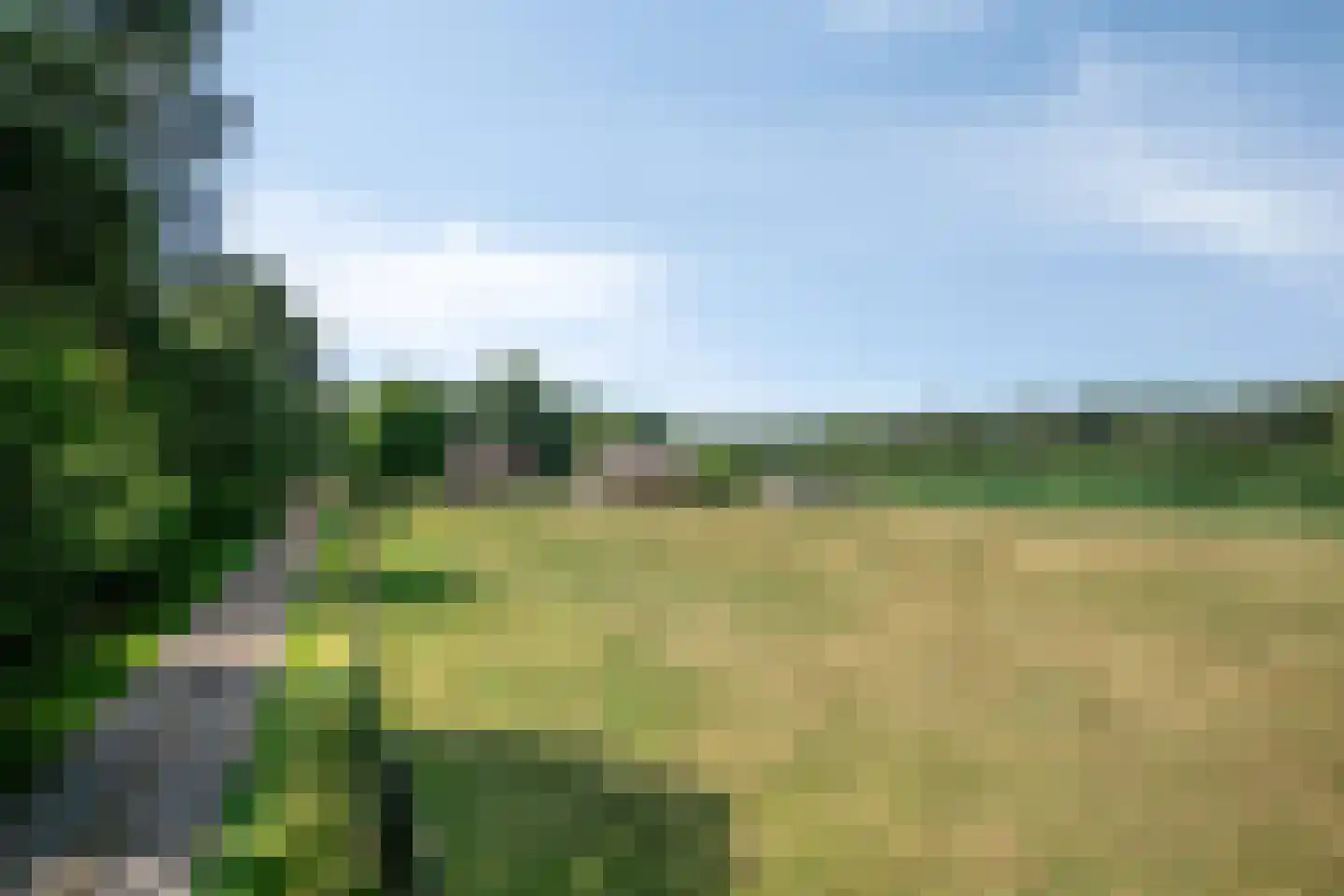 Hei 17 Baarlo thumbnail 59