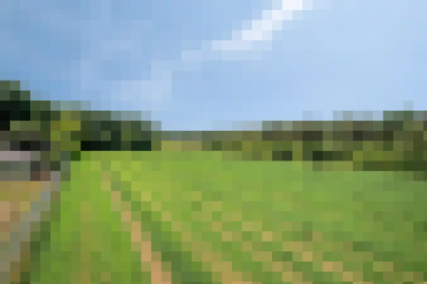 Hei 17 Baarlo thumbnail 61