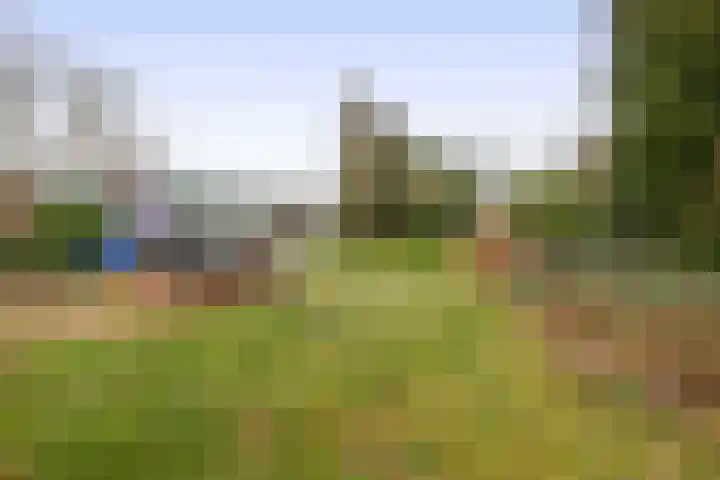 Hei 9 Baarlo thumbnail 16