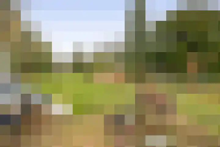 Hei 9 Baarlo thumbnail 17
