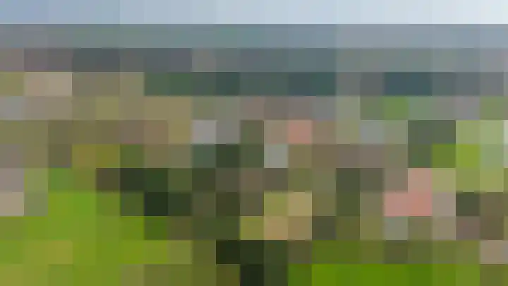 Hei 9 Baarlo thumbnail 23