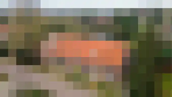 Hei 9 Baarlo thumbnail 28