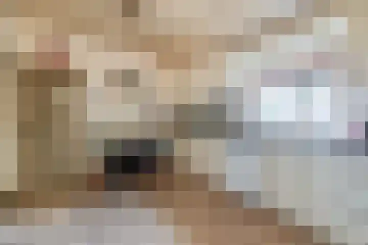 Hei 9 Baarlo thumbnail 6