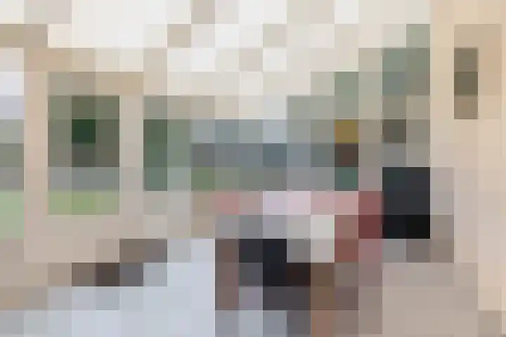Hei 9 Baarlo thumbnail 9