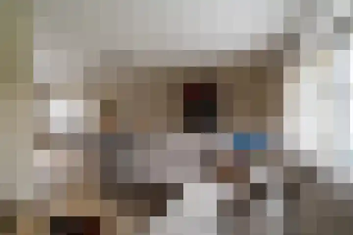 Hei-akker 2 Kaatsheuvel thumbnail 16
