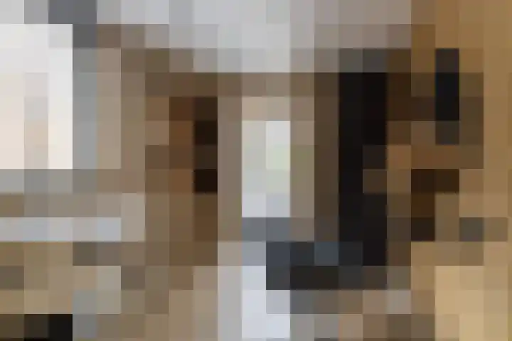 Hei-akker 2 Kaatsheuvel thumbnail 17