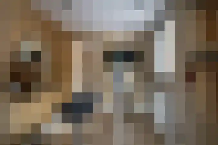 Hei-akker 2 Kaatsheuvel thumbnail 18