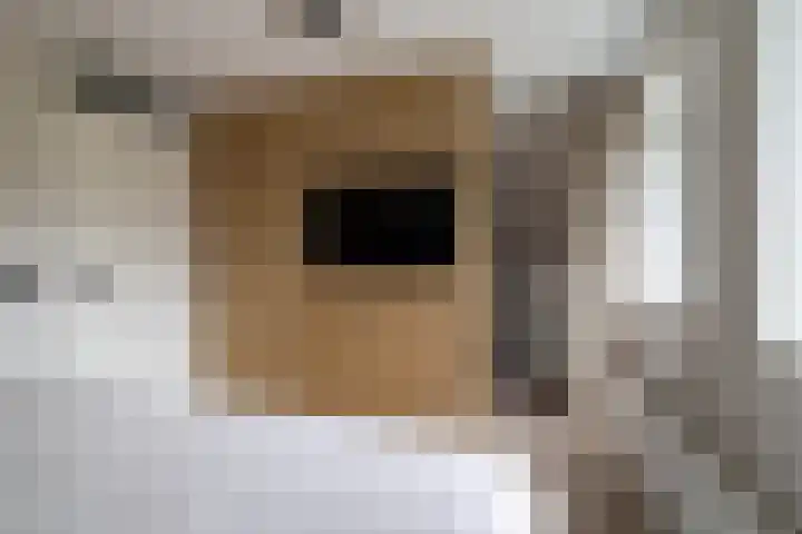 Hei-akker 2 Kaatsheuvel thumbnail 24
