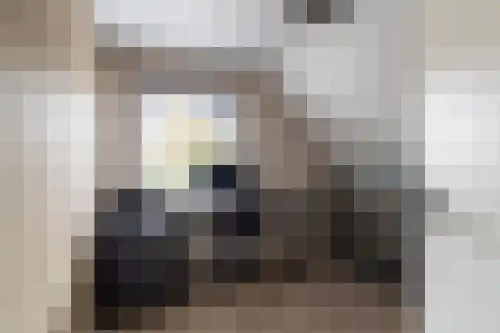Hei-akker 2 Kaatsheuvel thumbnail 26