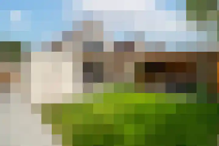 Hei-akker 2 Kaatsheuvel foto 3